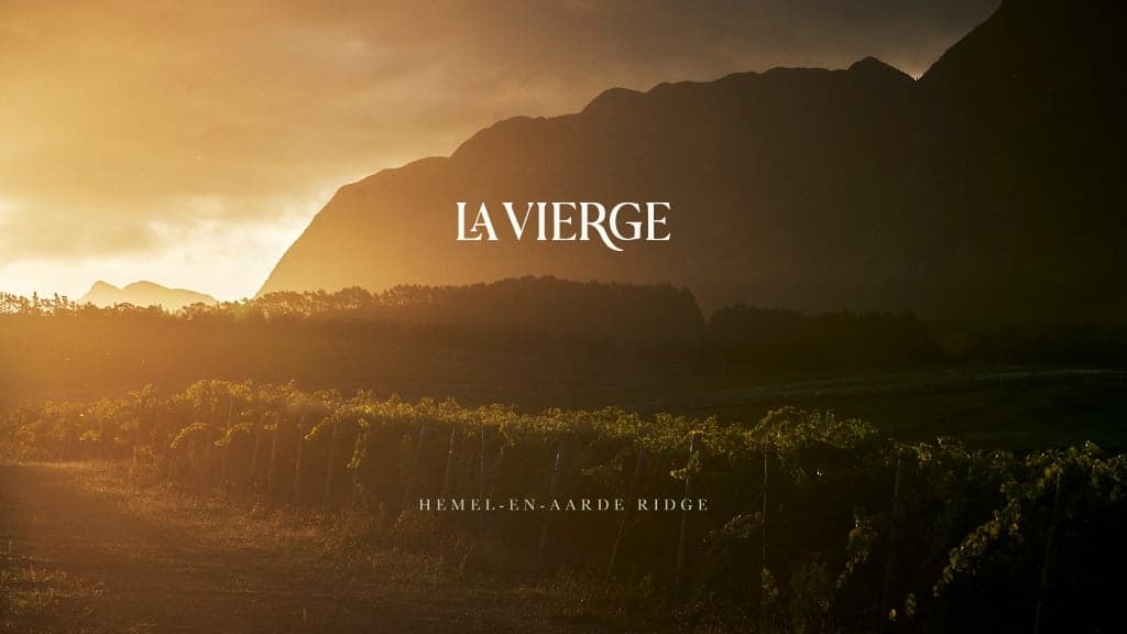 La Vierge Wines