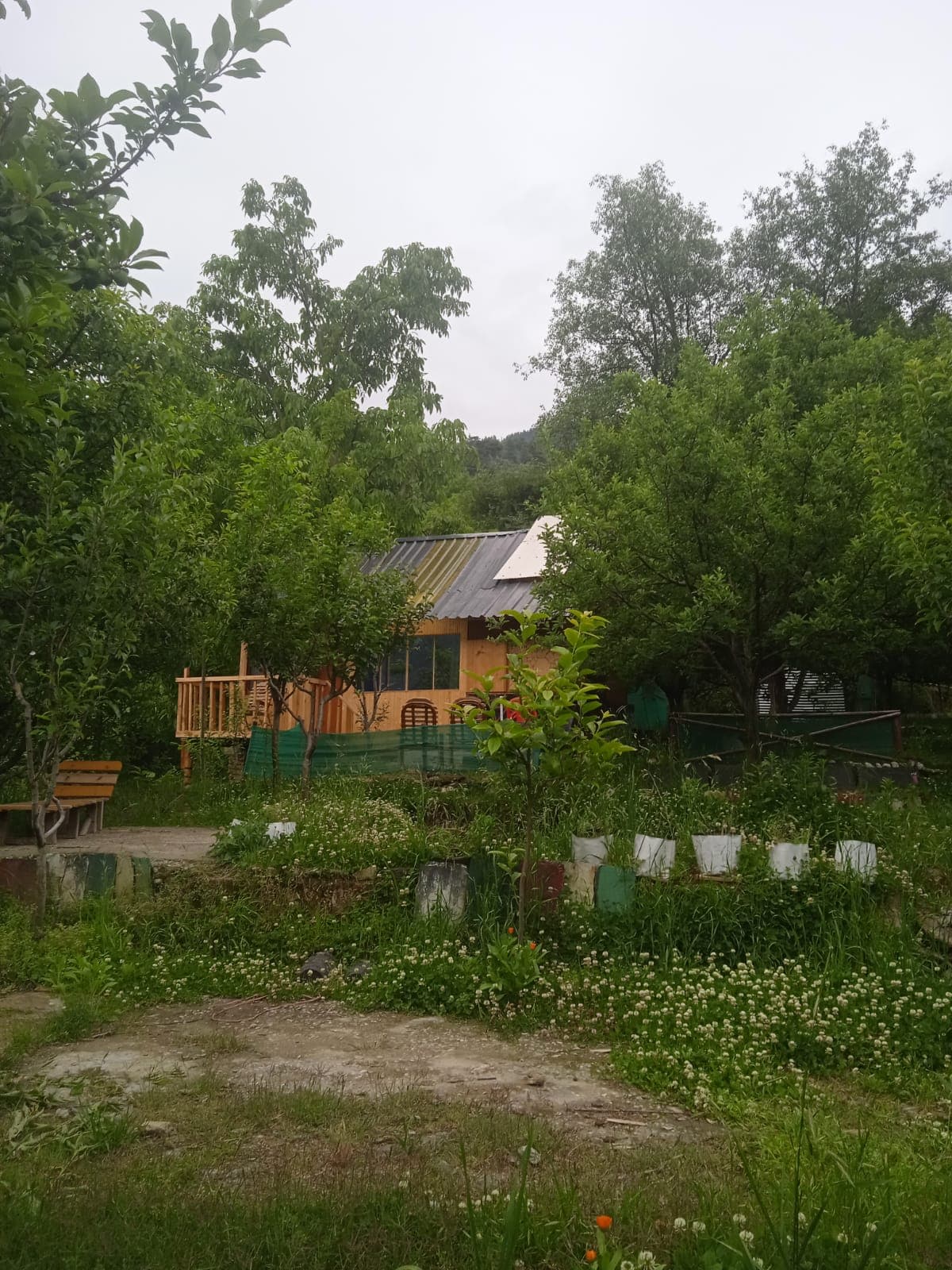 Landmark Treehouse