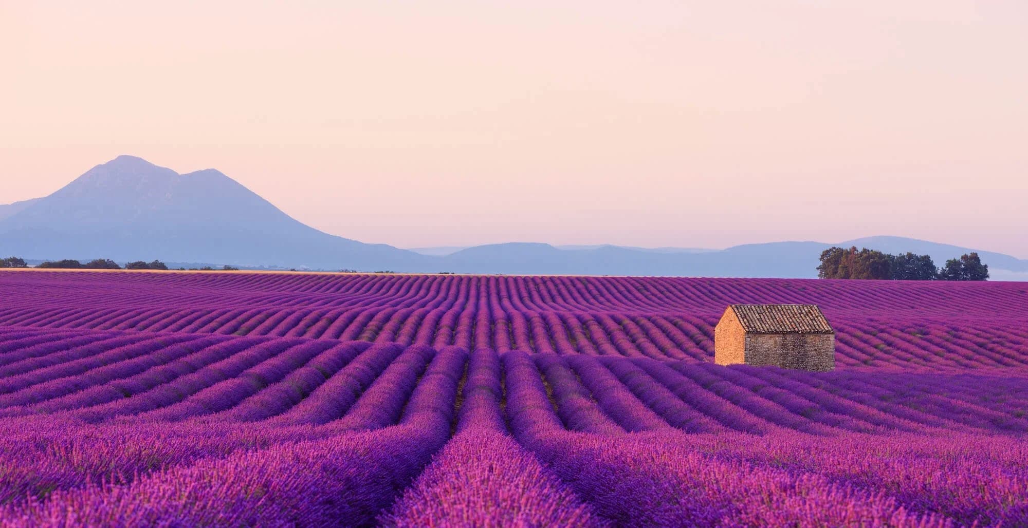 Lavender Spa and Nail
