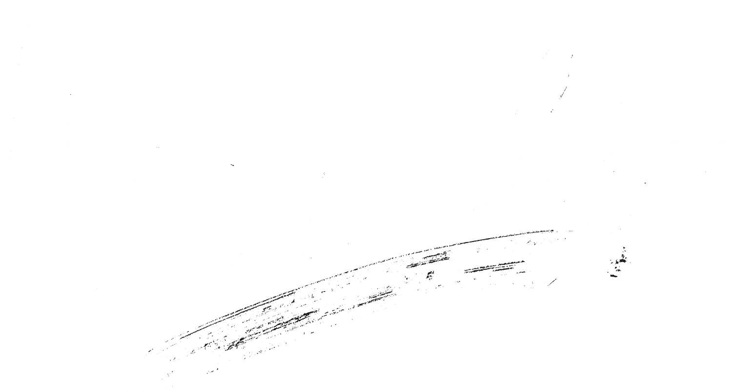 Locals Surf School