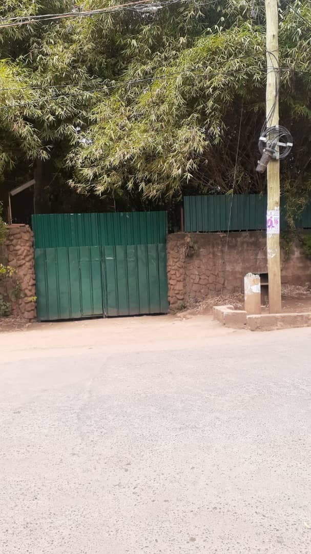 Mad Vervet Nairobi backpackers Hostel