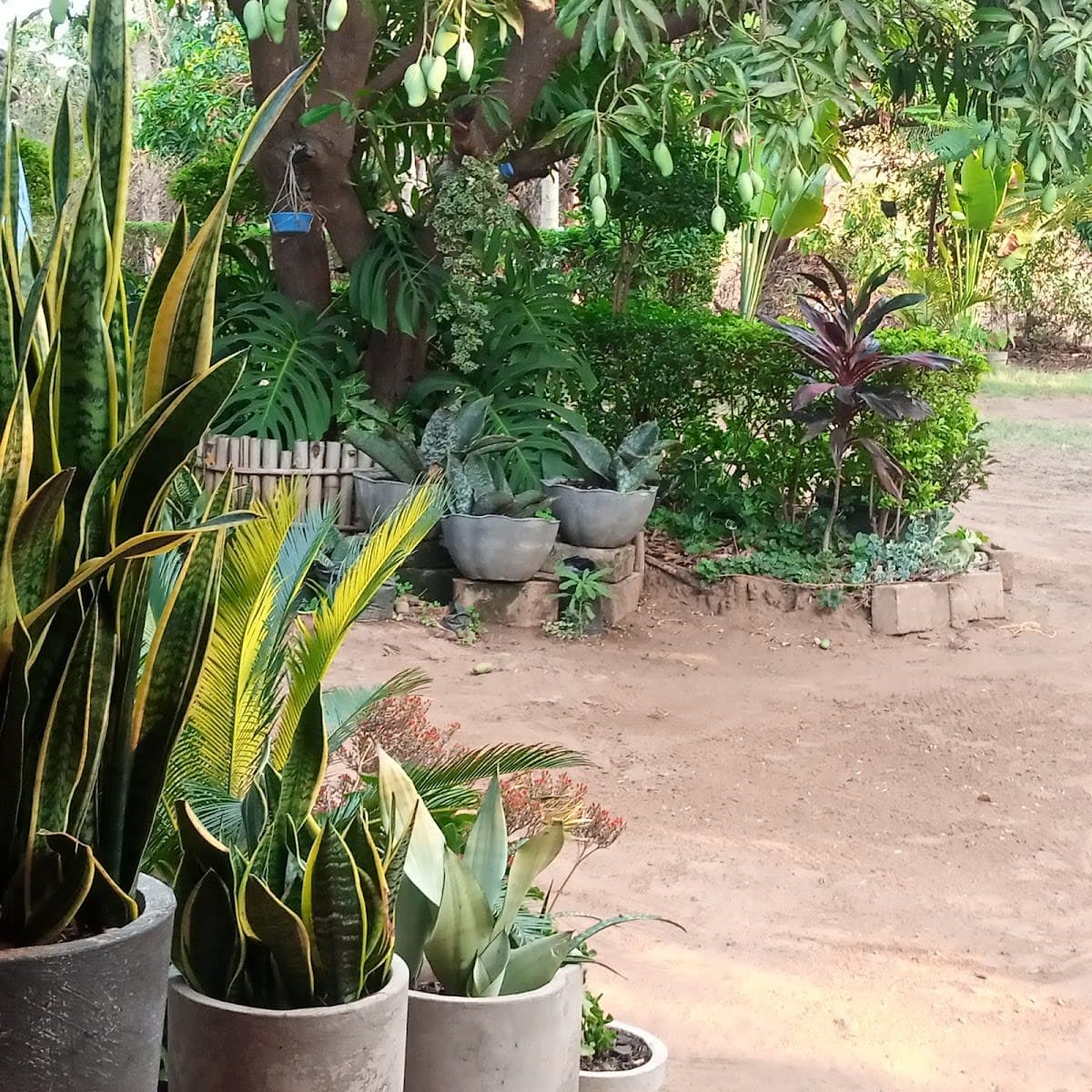 MAHOBIC Resisdence - Home of Flowers