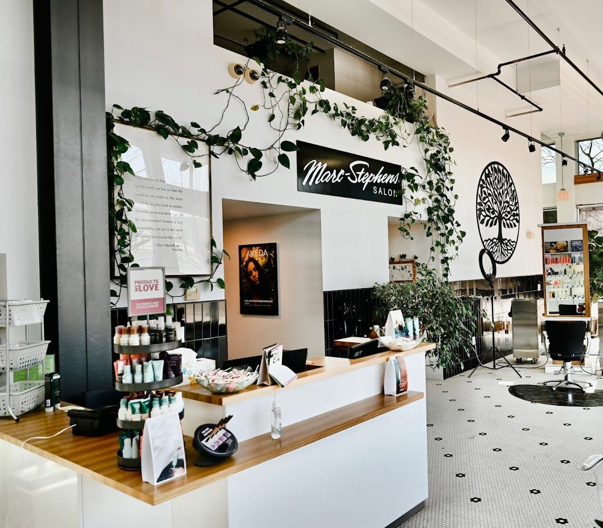 Marc Stephens Salon