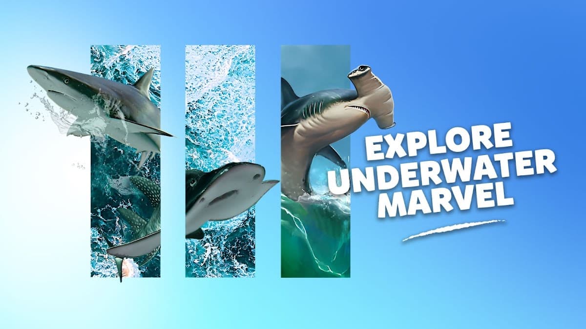Marine Safari Bali