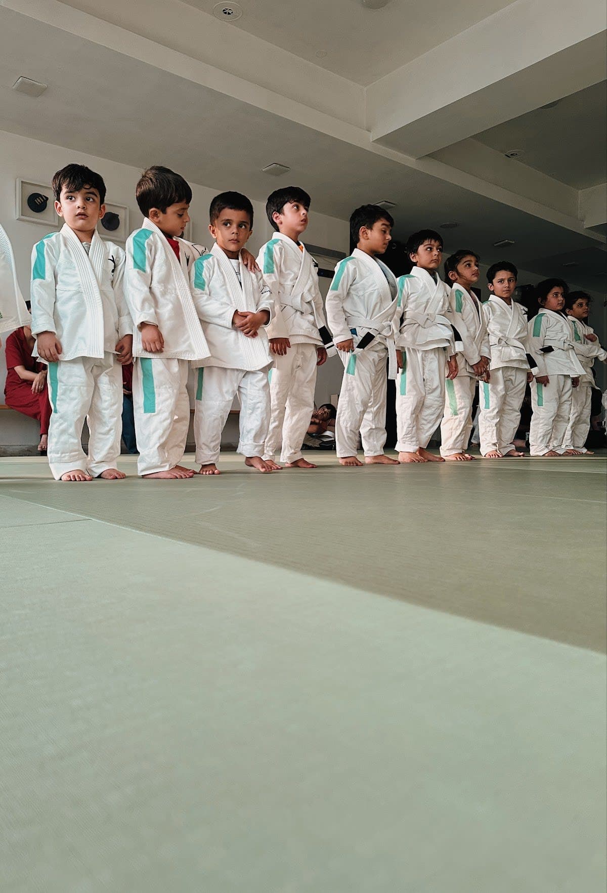 Mikado Jiu-Jitsu