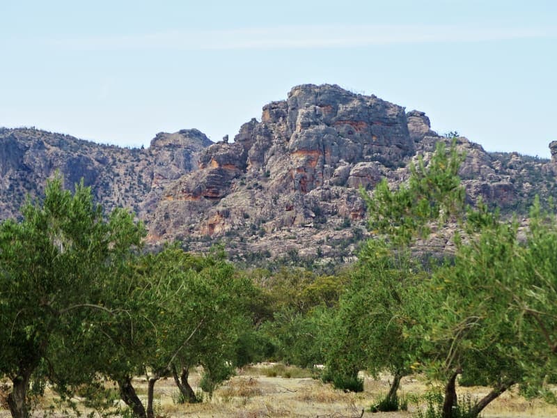 Mount Zero Olives