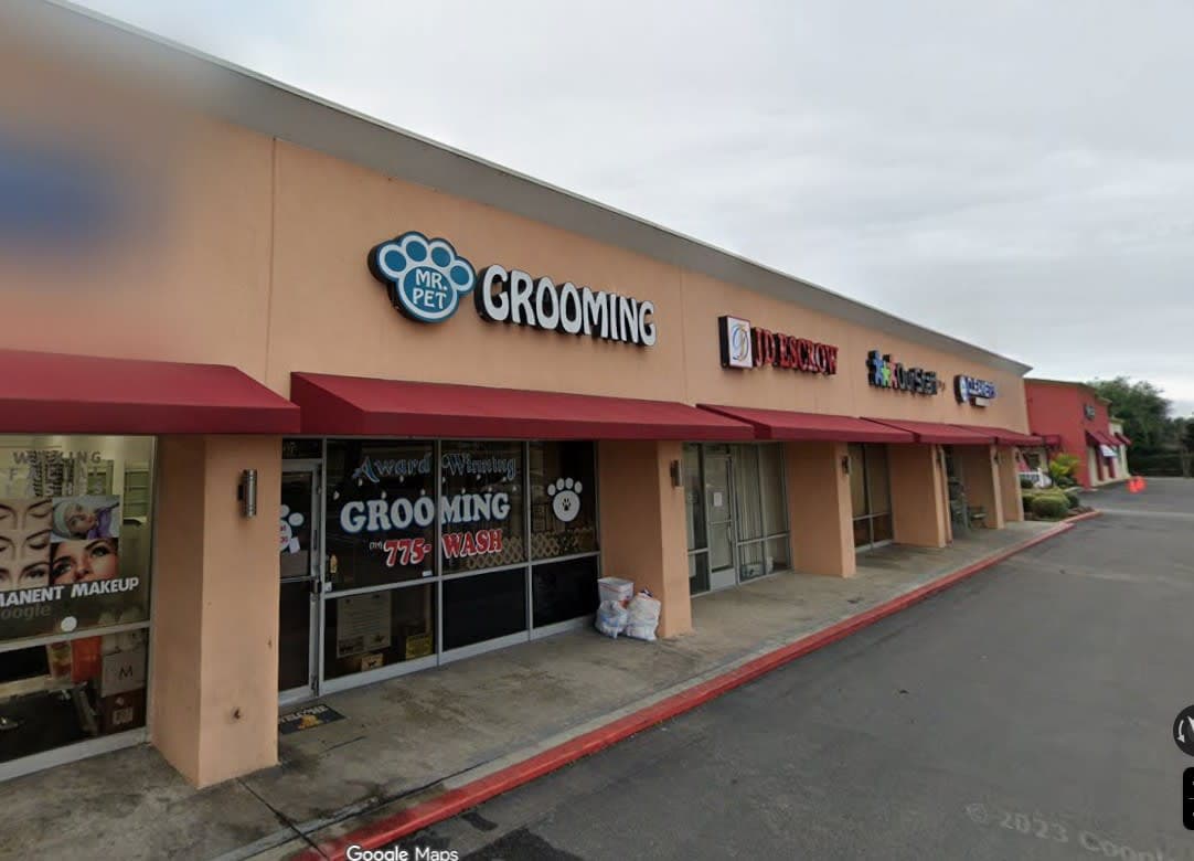 Mr Pet Grooming