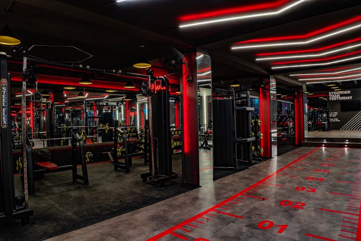 Muscle Fitness Club
