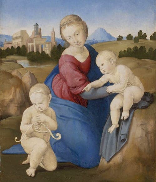 Museum of Fine Arts