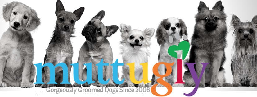Muttugly Dog Grooming