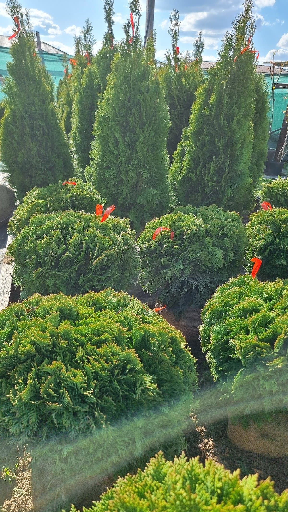 NEA GARDEN CENTER