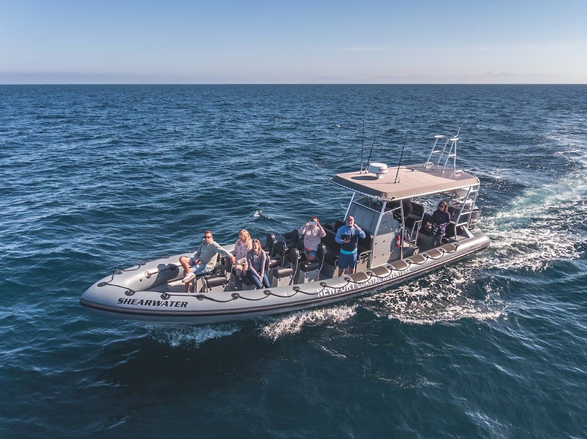 Extended Whale Watching Expeditions