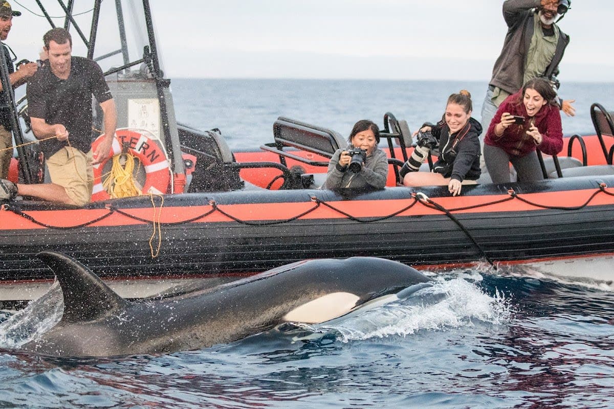 Pacific Offshore Expeditions
