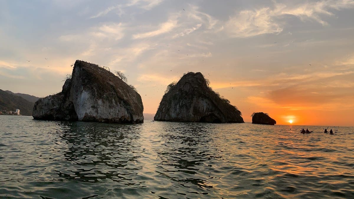 Paddle Zone