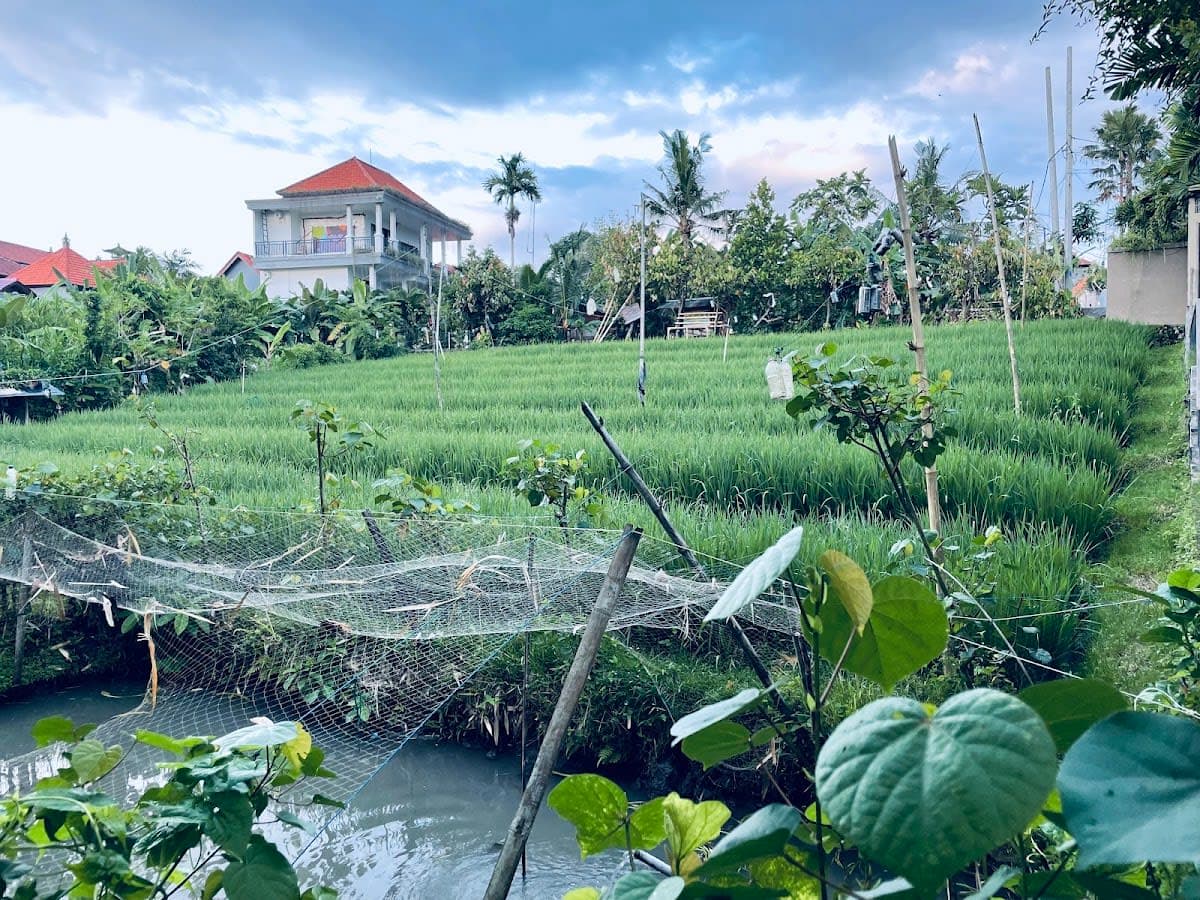 Pangkung Sari Bed and Breakfast