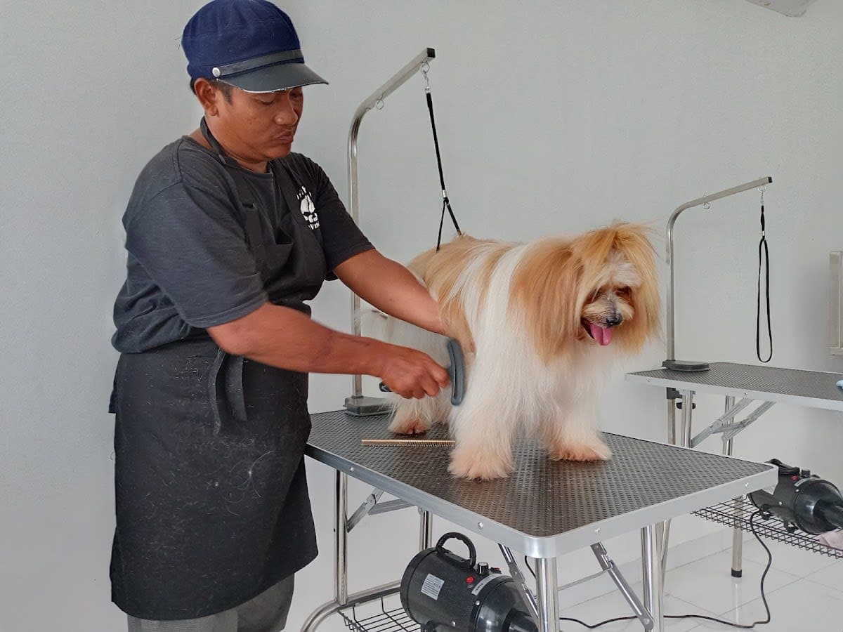Paws & Claws Grooming Lounge