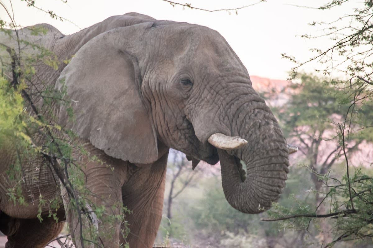 People Tour and Safaris Namibia
