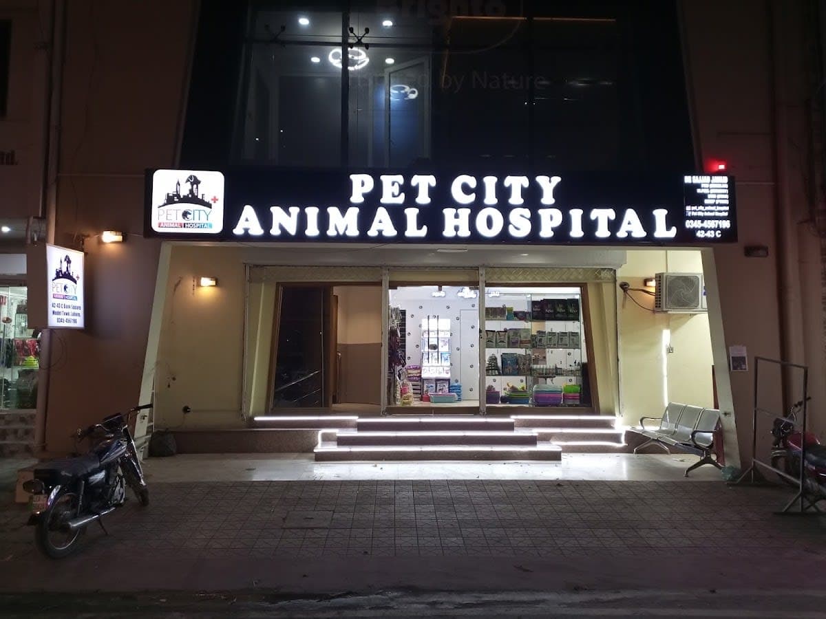 General Veterinary Consultation