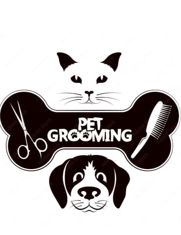 PetGrooming - groomstudio