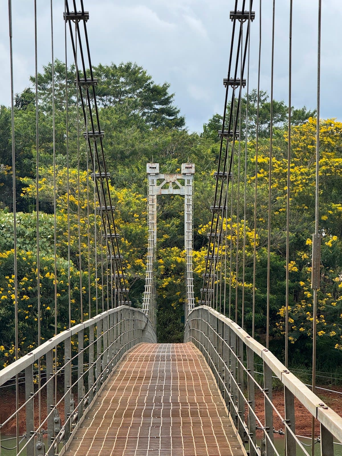 Phượng Vàng Eco Homestay