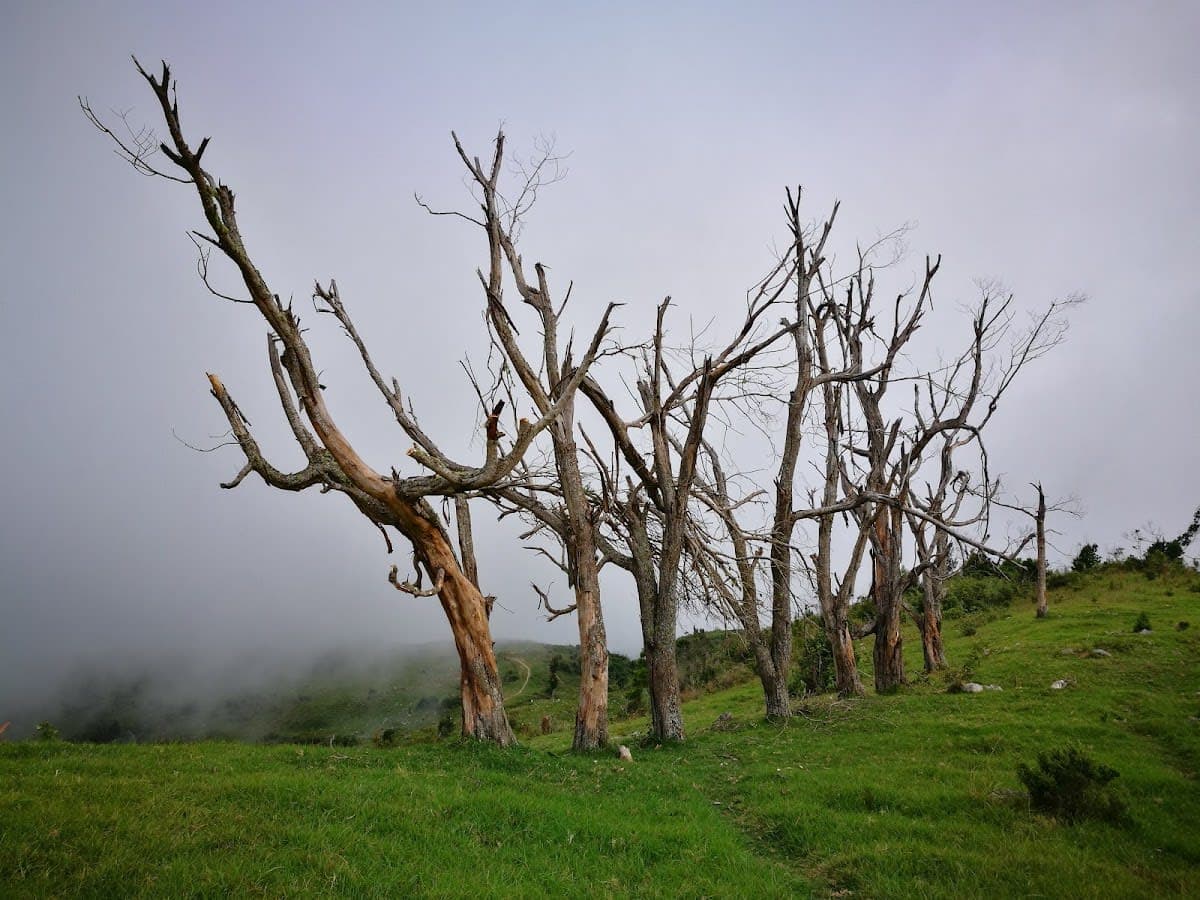 Pic Macaya National Park