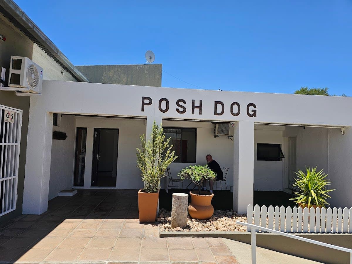 posh dog windhoek