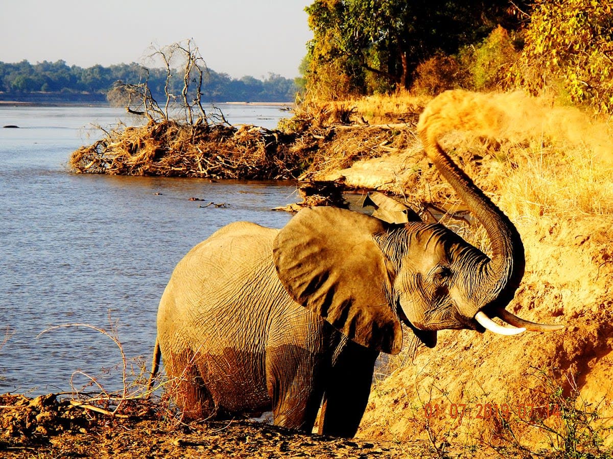 Private Guided Tours Zambia.
