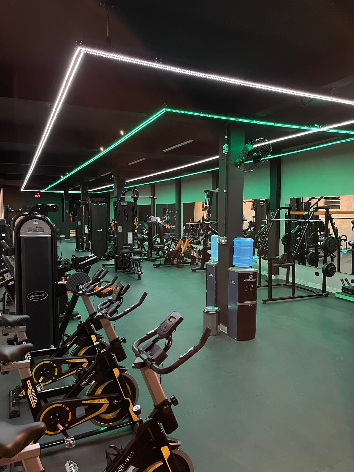 Pro Fit Academia