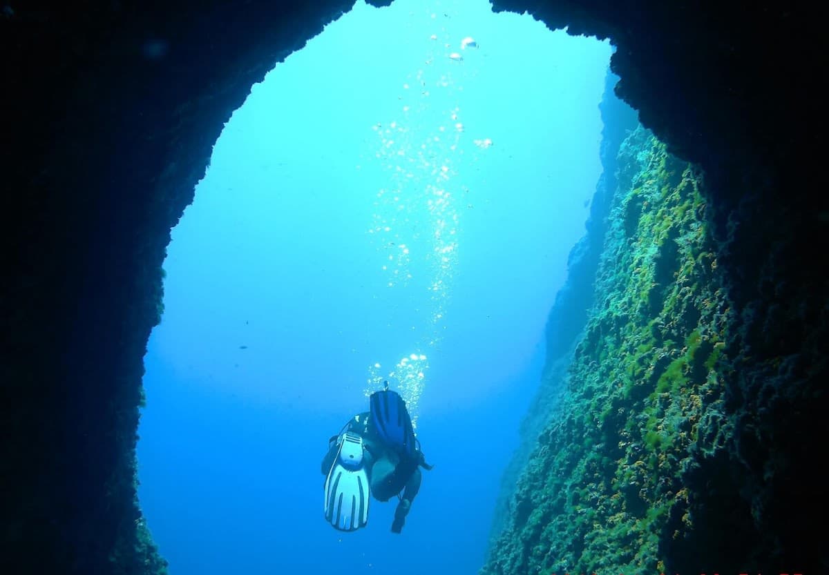 Punta Campanella Diving Center