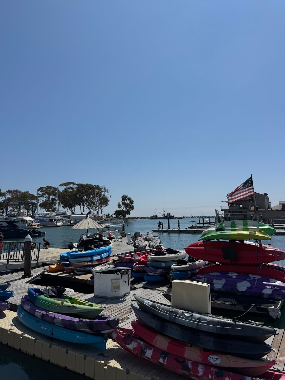 Pure Watersports - Dana Point
