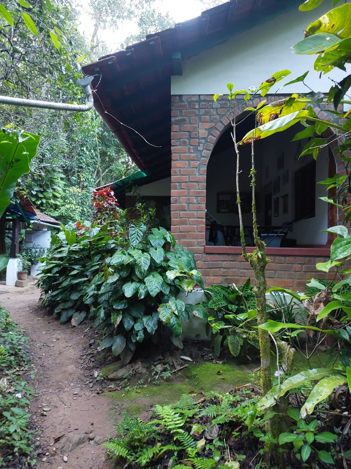 Rainforest Retreat