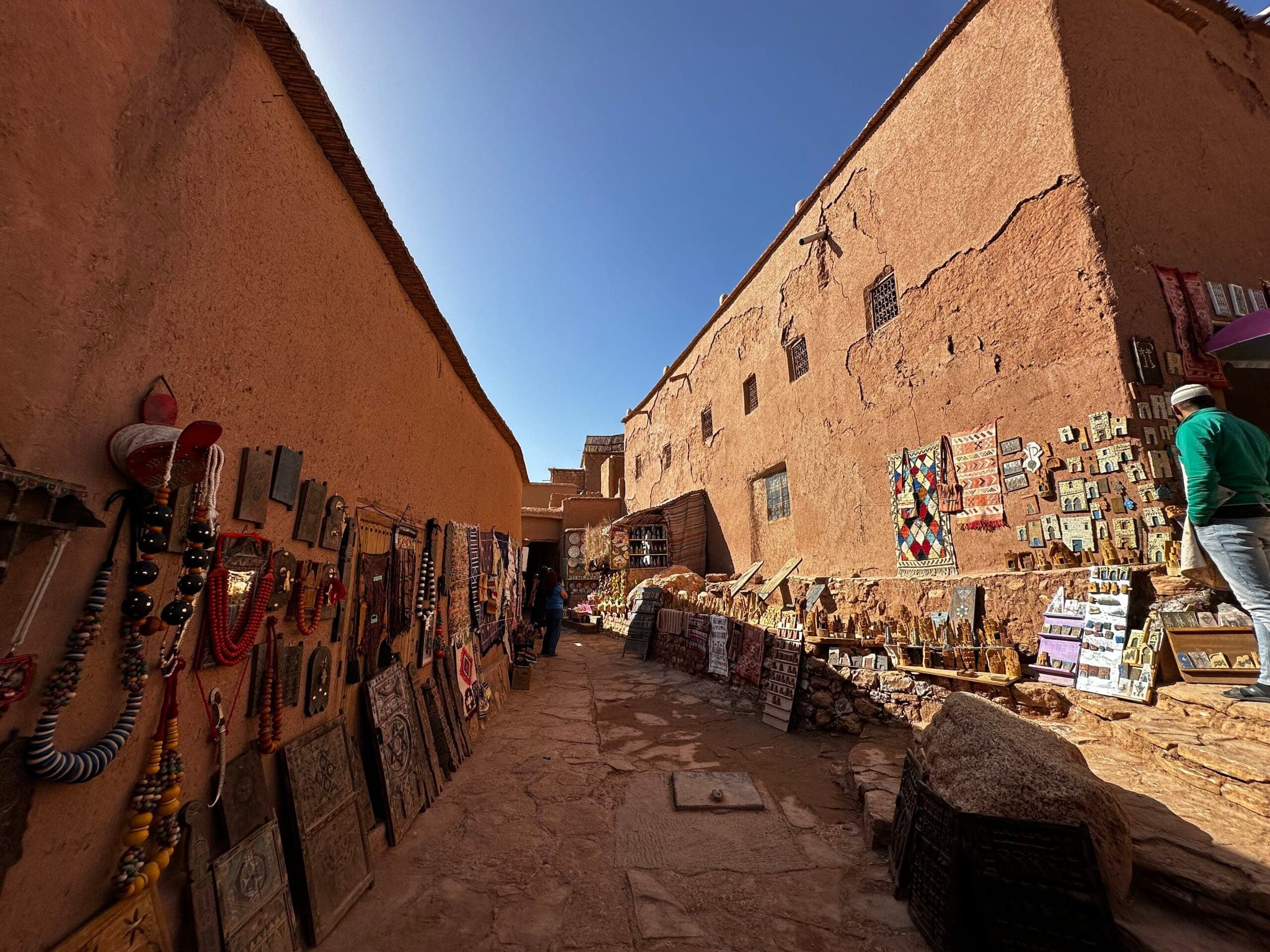 Marrakech : Vallée de l'Ourika avec déjeuner, chameau et guide