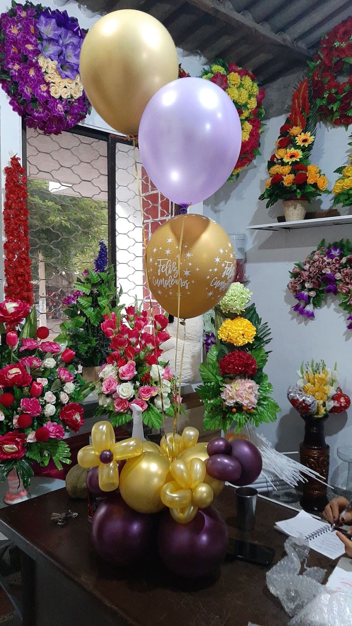 Regalo Riohacha