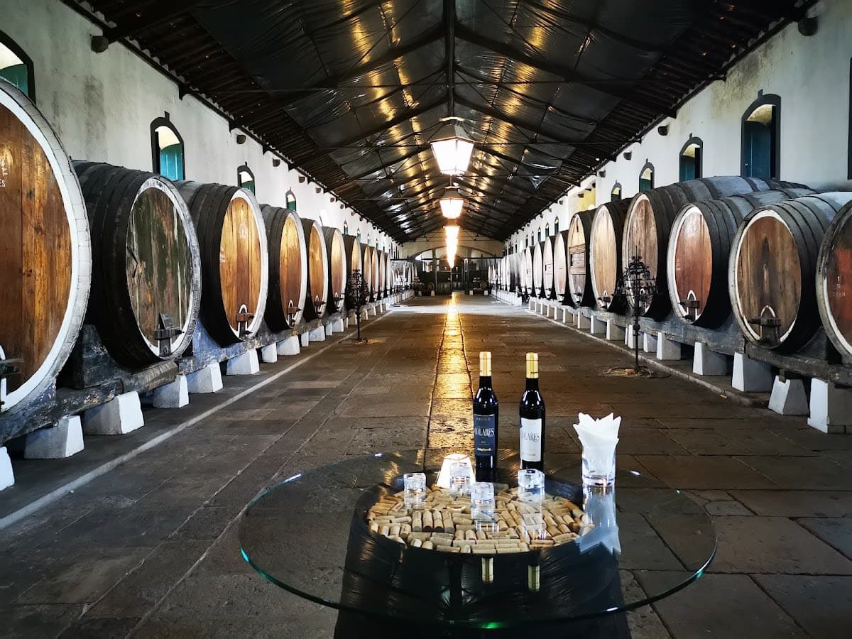 Regional de Colares Winery