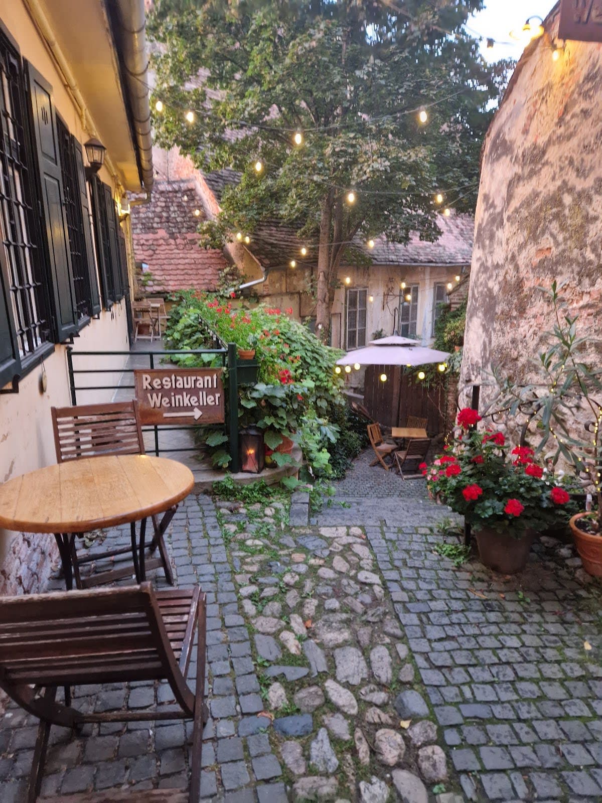 Degustare de vinuri