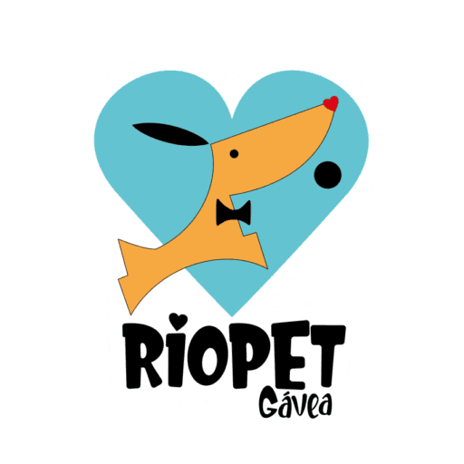 Riopet Gávea