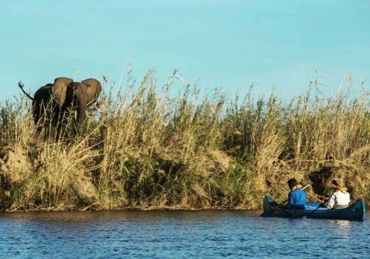 River horse safaris