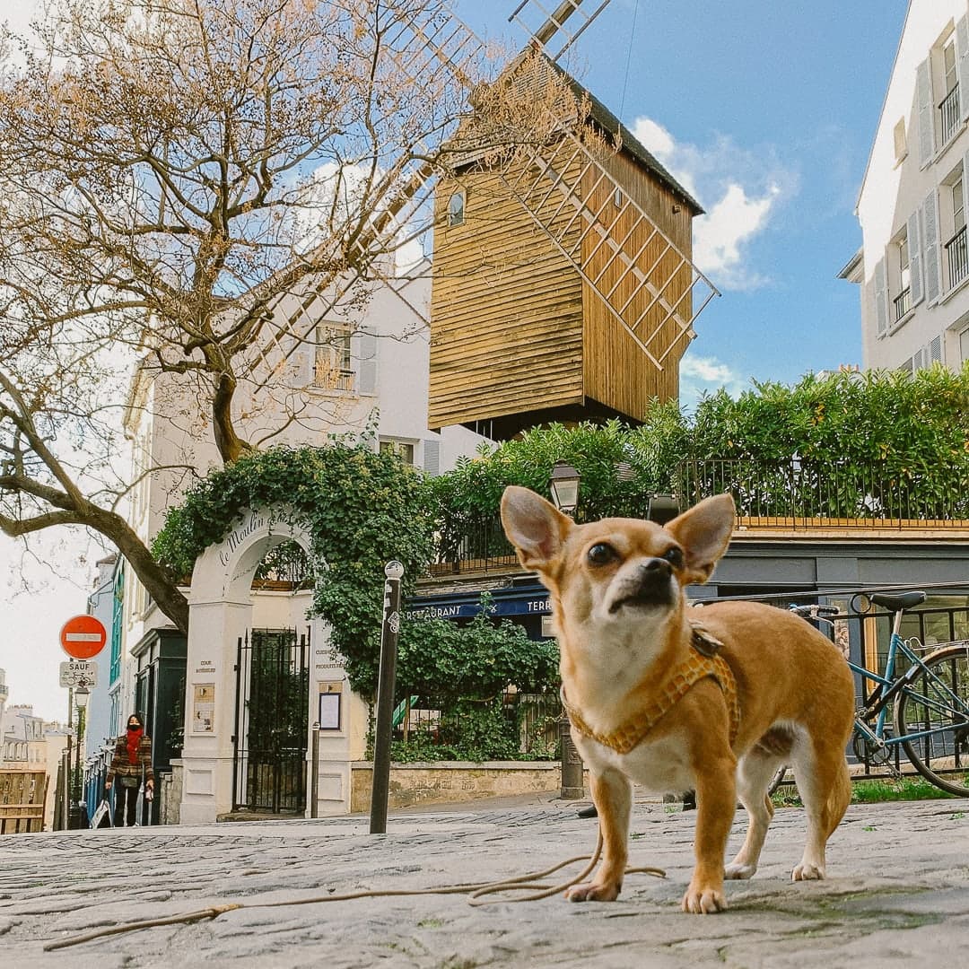 Romantic Montmartre