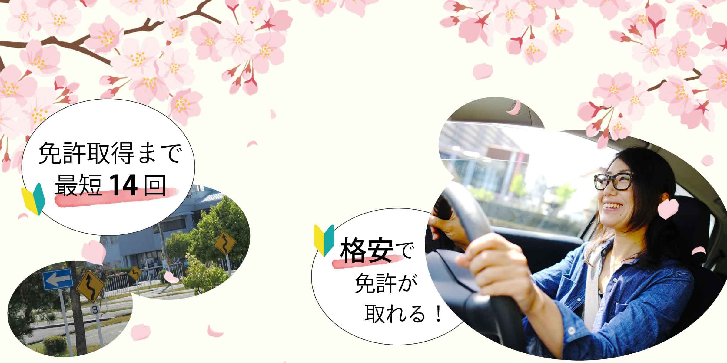 SAKURA DRIVING SCHOOL