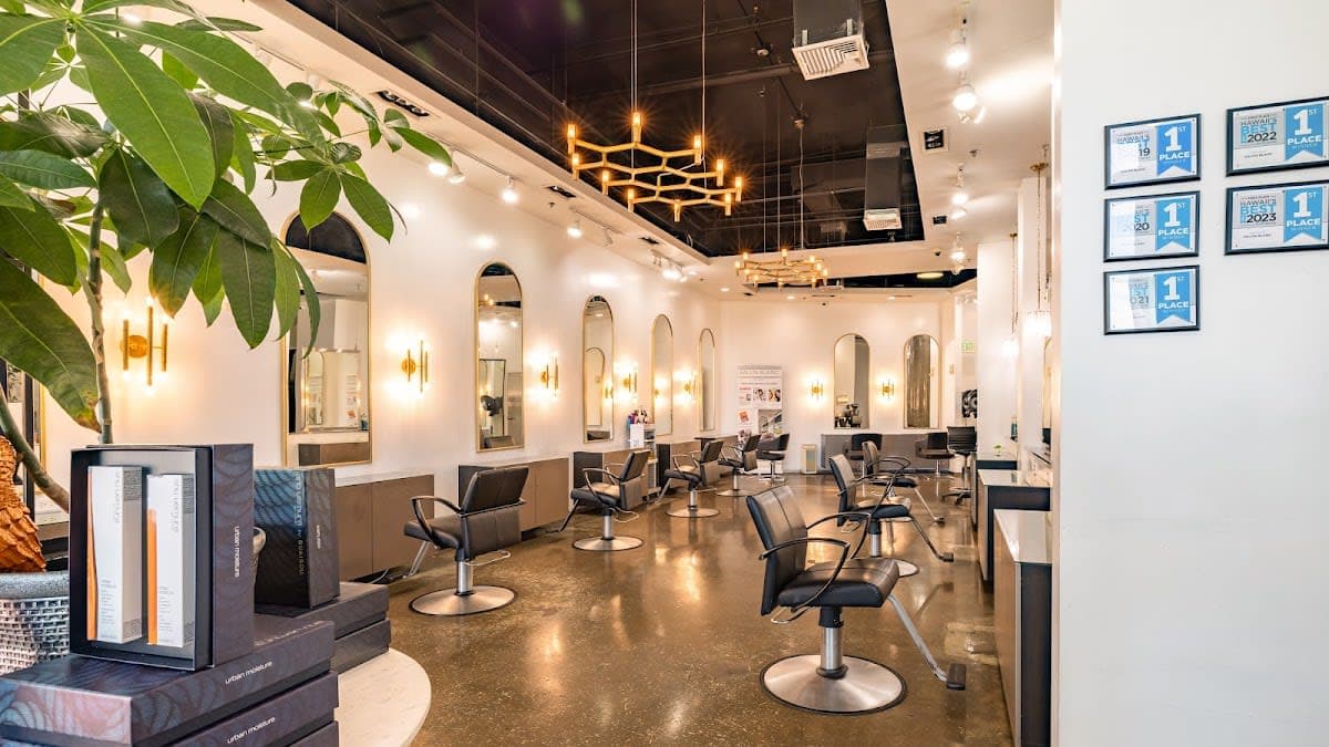 Salon Blanc The Celebrities Salon