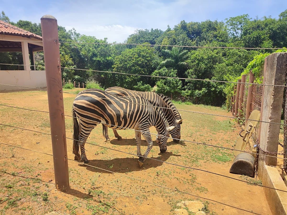 Salvador Zoo and Botanical Park