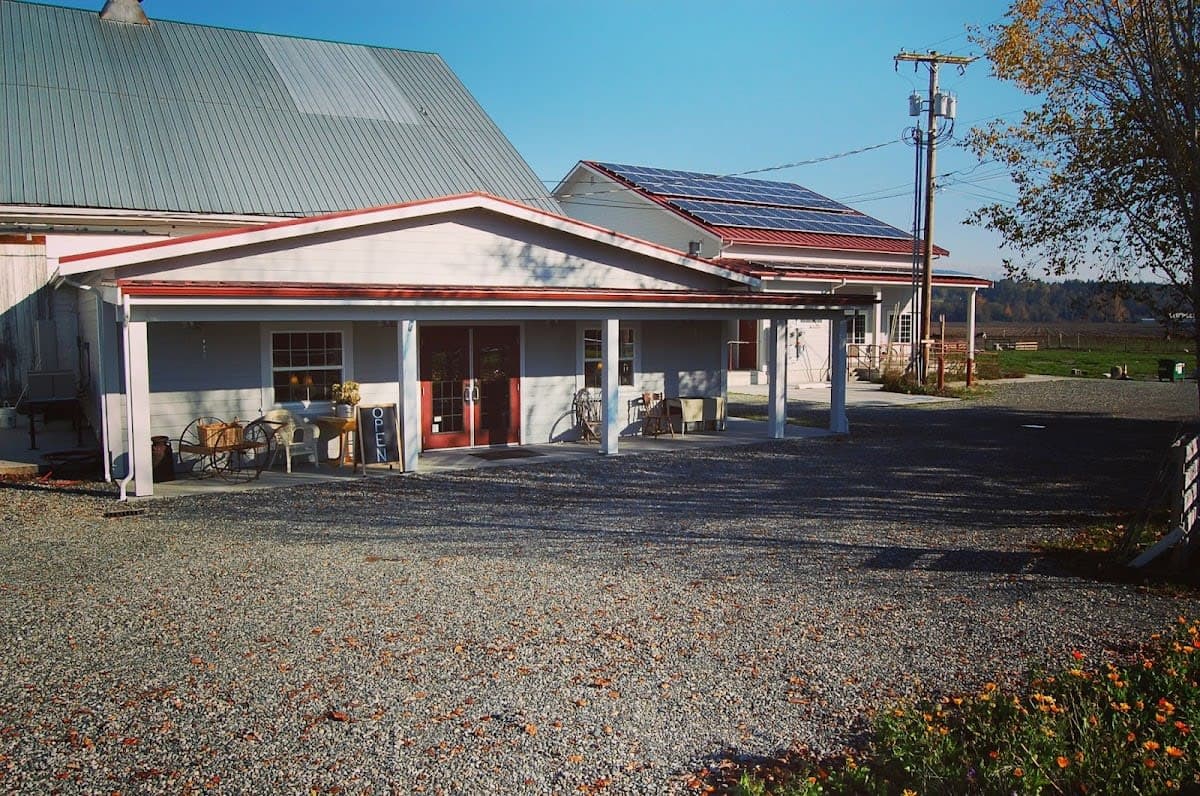 Samish Bay Cheese