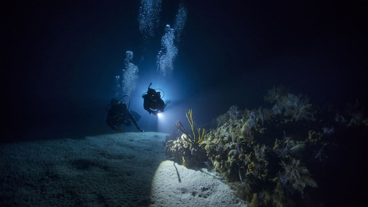 San Diego Scuba Pros