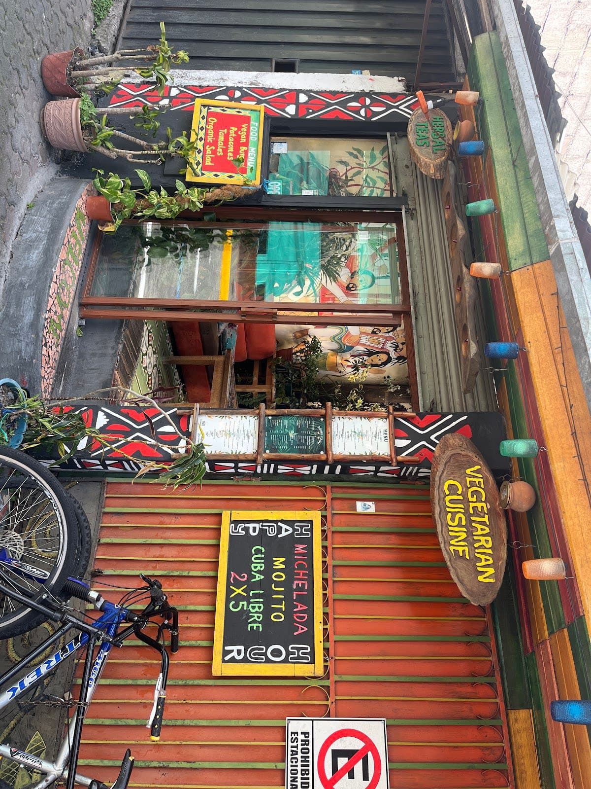 Sativa Studio Cafe
