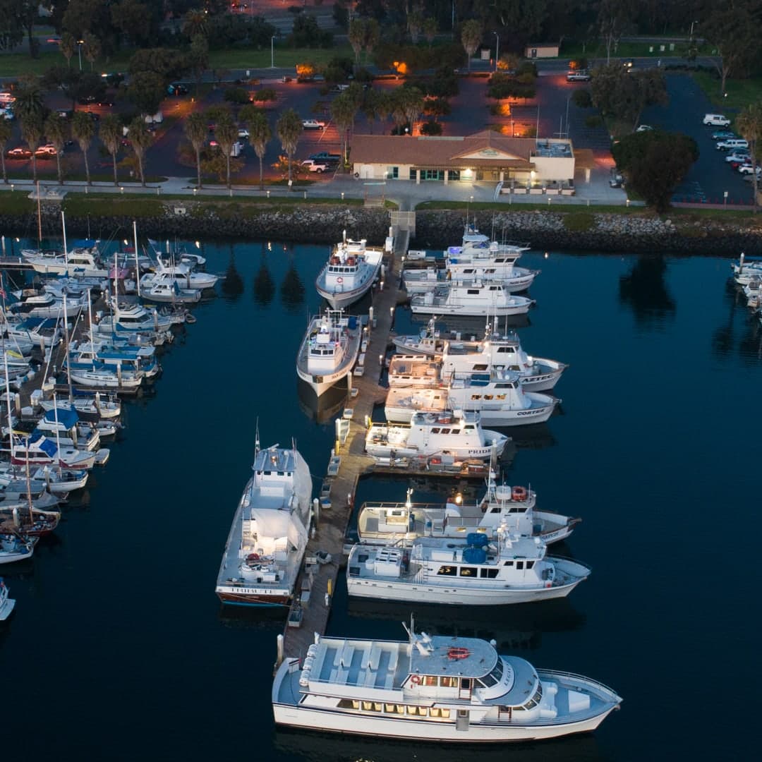 Seaforth Sportfishing