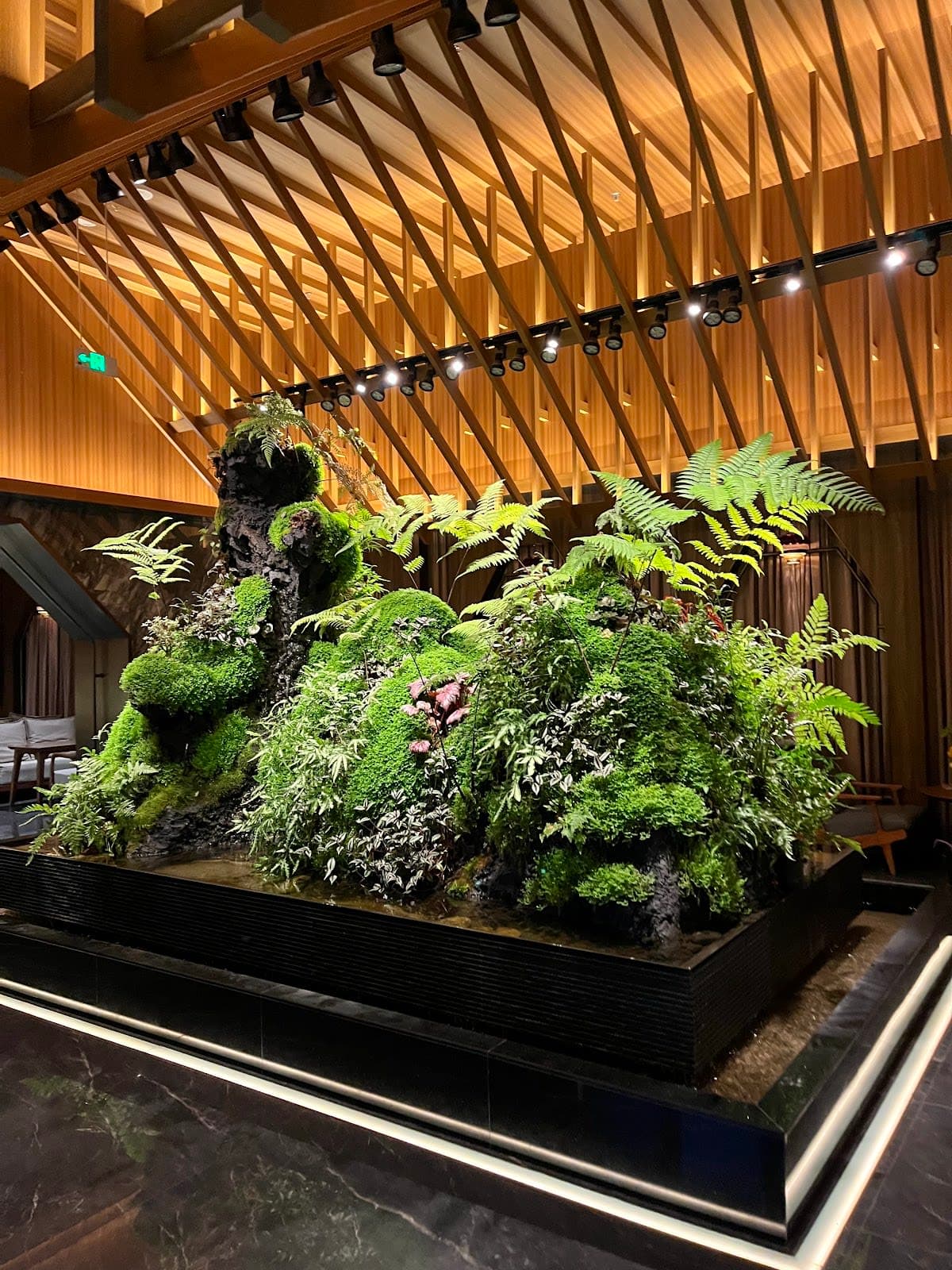 Shi Pedicure Guanghua Branch