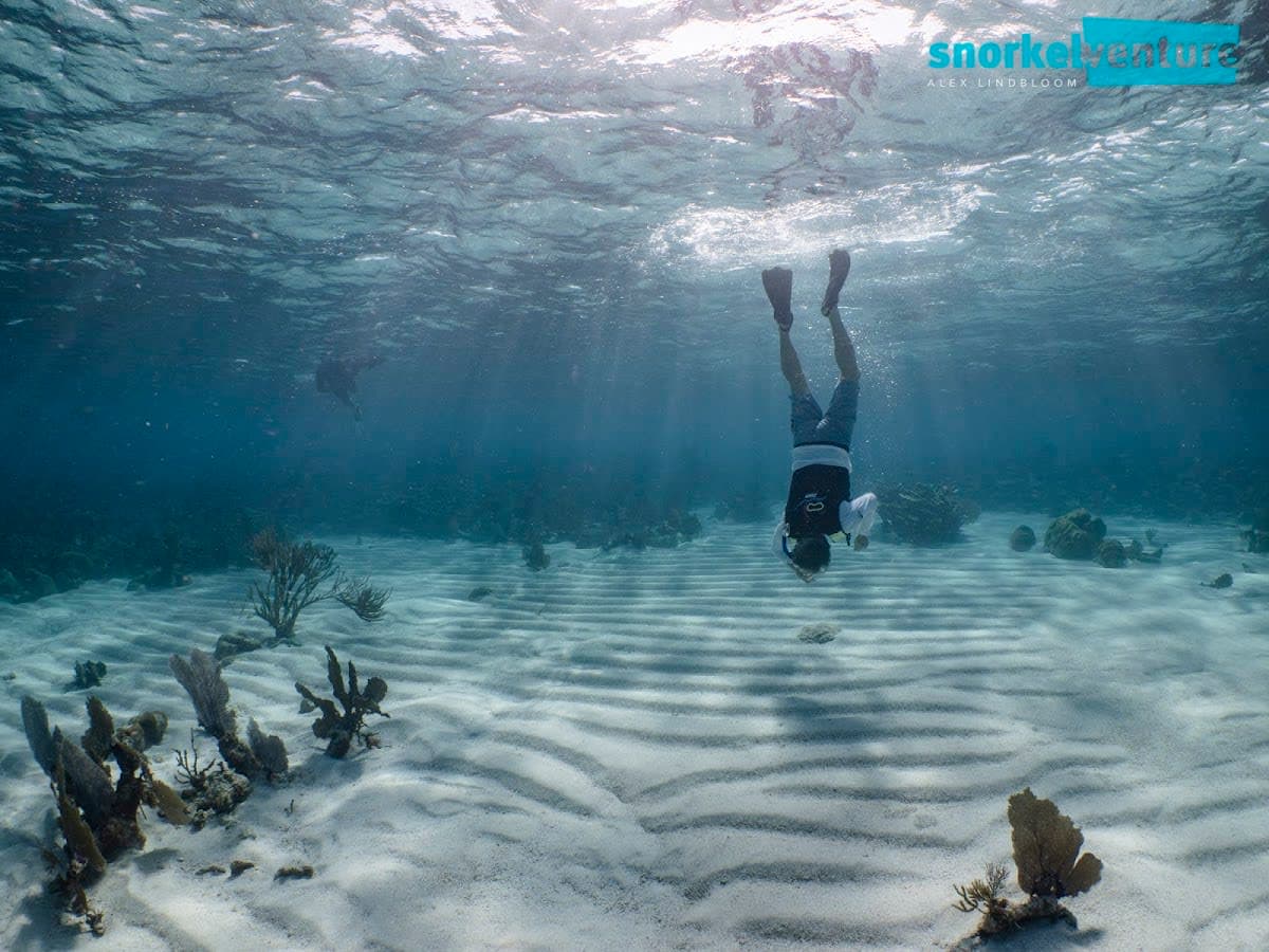 Snorkel Venture