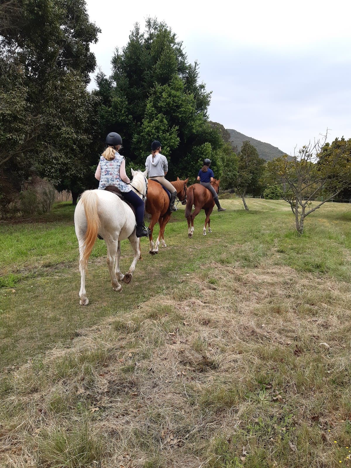 Solitaire Equestrian Academy