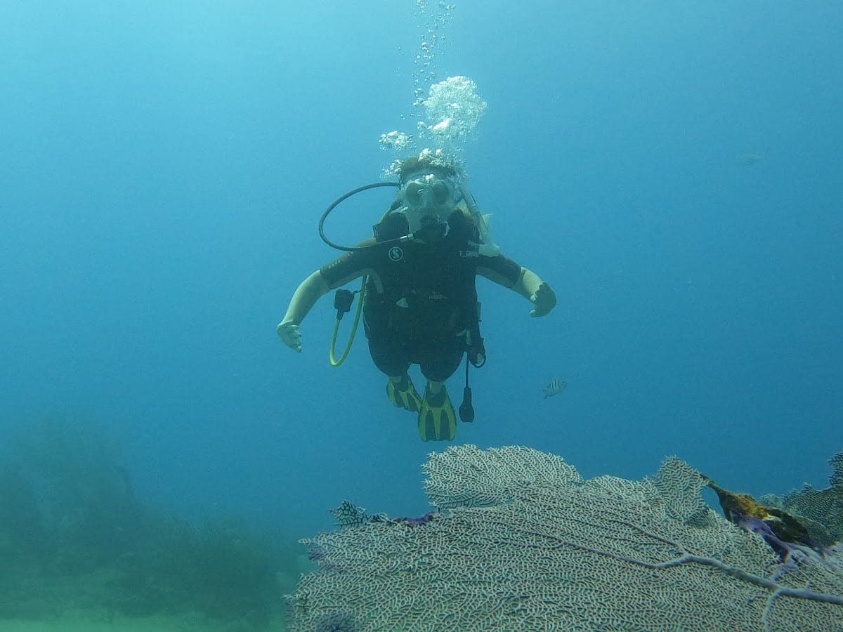 Sosua Diving Center