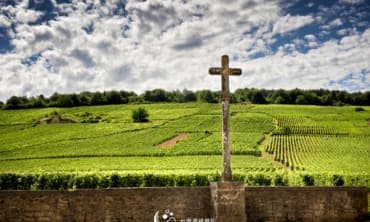 台灣酒研學院Taiwan Wine Academy